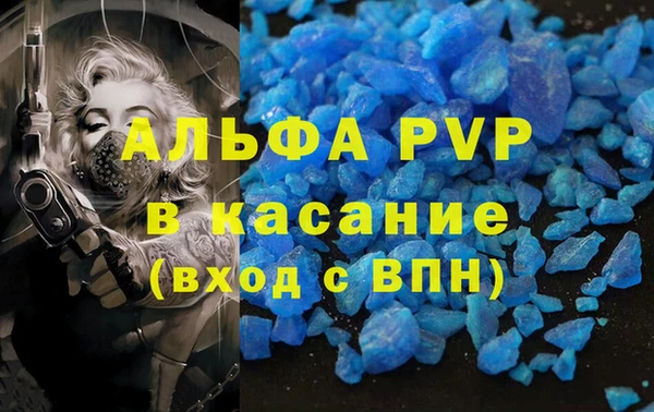 гашик Ладушкин